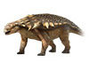 Ankylosaurus.jpg