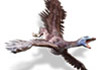 Archaeopteryx.jpg