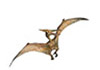 Pterodactylus.jpg