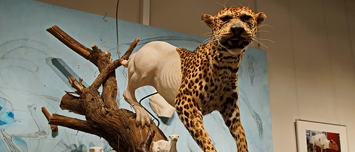 Realistic animatronic smilodon Prehistoric Animal model