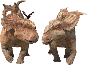 1443973656379695.png patchi_alex_juniper_.png
